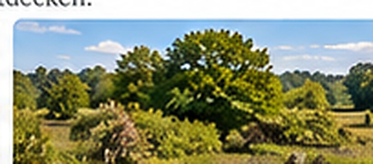 Gebüsch und Säume in einer halboffenen Landschaft